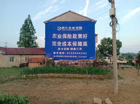 耿马墙体广告的优劣势你知道吗？